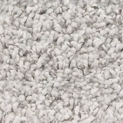 Carpet flooring | America's Carpet Outlet